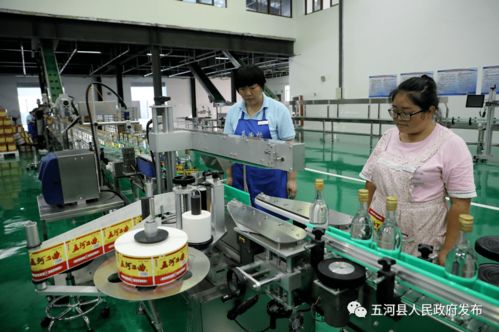 安徽淮酒新廠正式啟用，開啟酒類經(jīng)營(yíng)新篇章